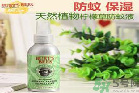 驅(qū)蚊液可以驅(qū)蒼蠅嗎？驅(qū)蚊液可以驅(qū)走什么蟲子？