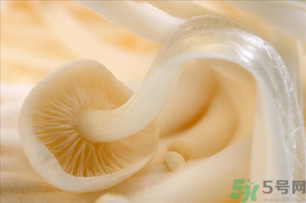 致癌金針菇怎么鑒別？如何選購(gòu)金針菇？