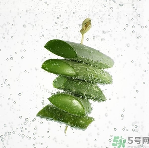 蘆薈怎么吃最好？蘆薈吃多了會怎樣？