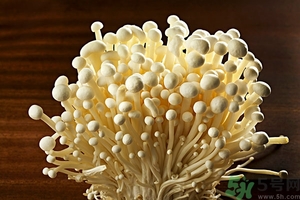 致癌金針菇怎么鑒別？如何選購金針菇？