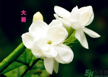 大暑是幾月幾日？大暑是什么意思？