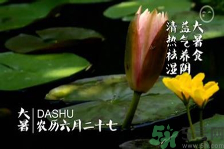 大暑吃什么養(yǎng)生？大暑吃什么好？