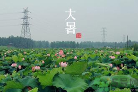 大暑吃什么養(yǎng)生？大暑吃什么好？