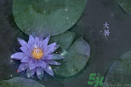 大暑吃什么養(yǎng)生？大暑吃什么好？