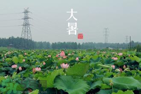 大暑吃什么水果？大暑吃什么水果養(yǎng)生？