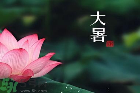 大暑為什么要吃羊肉？大暑吃羊肉的原因