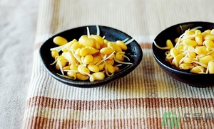 黃豆芽能涼拌嗎？涼拌黃豆芽的家常做法