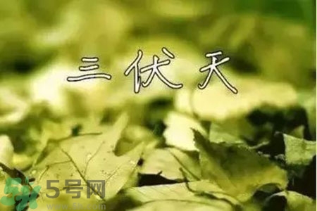 三伏天什么時(shí)候結(jié)束？三伏天是哪幾天？
