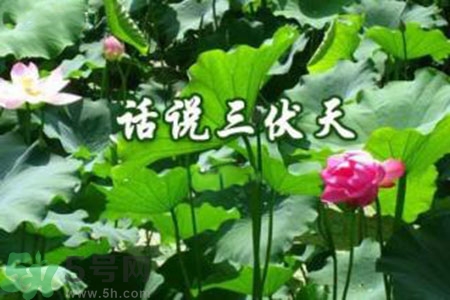 三伏天吃什么？三伏天傳統(tǒng)美食有哪些？