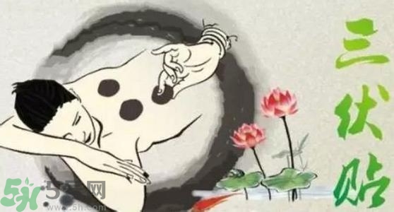 三伏貼有用嗎？三伏貼可以治什么病？