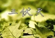 三伏天吃什么？三伏天傳統(tǒng)美食有哪些？