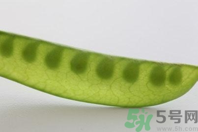 煮豌豆怎么做好吃？煮豌豆的做法
