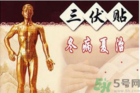 胃病可以貼三伏貼嗎？胃病貼三伏貼貼哪里？