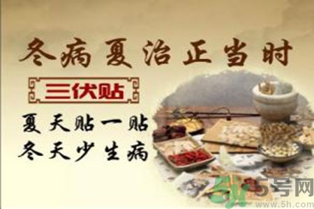胃病可以貼三伏貼嗎？胃病貼三伏貼貼哪里？