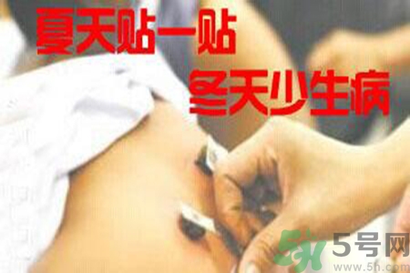 肝炎貼三伏貼有用嗎？肝病貼三伏貼貼哪里？