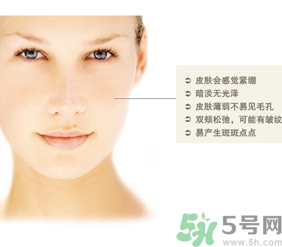 干性皮膚用什么洗面奶？干性皮膚該怎么保養(yǎng)？