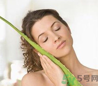 蘆薈膠會堵塞毛孔嗎？蘆薈膠應該怎么用？