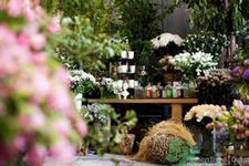 野獸派是什么牌子？野獸派怎么樣？