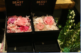 野獸派是什么牌子？野獸派怎么樣？