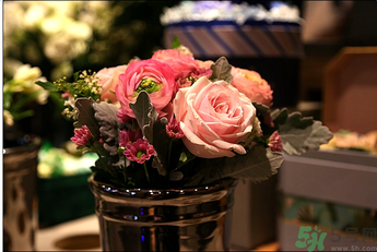 野獸派是什么牌子？野獸派怎么樣？