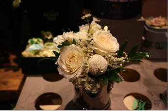 野獸派是什么牌子？野獸派怎么樣？