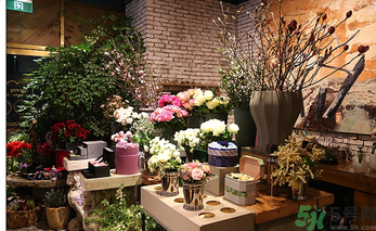 野獸派是什么牌子？野獸派怎么樣？