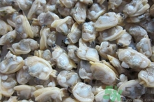 花蛤的營養(yǎng)價值有哪些？生取蛤肉的方法是什么？