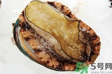 鮑魚如何挑選？鮑魚如何保存？