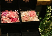 野獸派的花多少錢？野獸派的花哪里買？