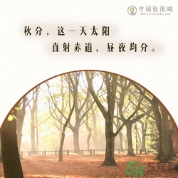 立秋是秋分嗎？立秋和秋分的區(qū)別？