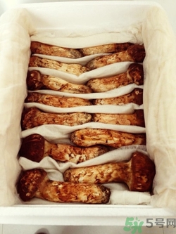 松茸可以冷凍保存嗎?松茸可以保存多久 松茸可以冷凍保存嗎?松茸可以保存多久