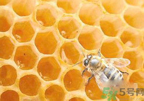 蜂膠有激素嗎？蜂膠吃多了會怎樣？