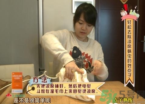 怎么判斷涼席有沒有螨蟲？涼席上的螨蟲怎么去除？