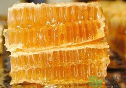 糖尿病可以吃蜂膠嗎？吃蜂膠降血糖嗎？