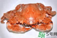 新鮮螃蟹該如何保存？熟螃蟹怎么存放？