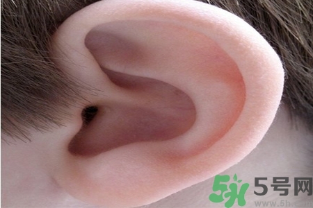 耳朵癢是怎么回事？耳朵癢怎么辦？