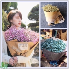 七夕送女朋友什么花？七夕送女朋友花送幾朵？