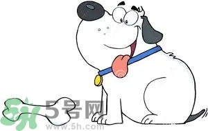 七夕單身狗怎么過(guò)？單身怎么過(guò)七夕？