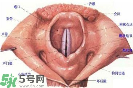 慢性咽炎的發(fā)病因素？慢性咽炎的并發(fā)癥有哪些？