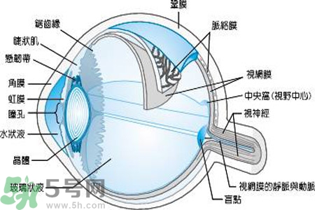 近視眼是什么？近視眼的癥狀有哪些？