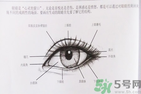 白內(nèi)障的高發(fā)人群有哪些？如何預(yù)防白內(nèi)障？