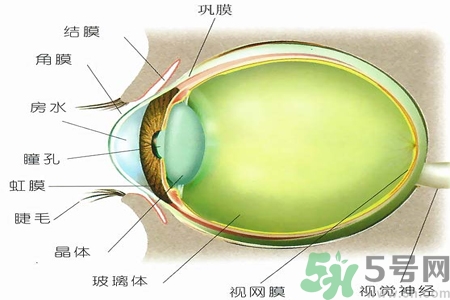 青光眼的治療方法有哪些？青光眼可以哪些藥物治療？