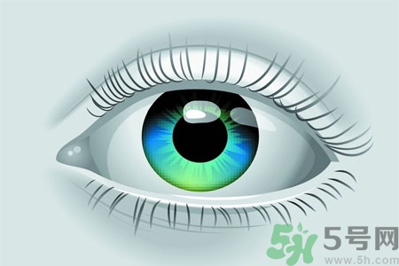 青光眼的高發(fā)人群有哪些？如何預(yù)防青光眼？
