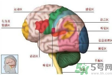 腦出血的高發(fā)人群有哪些？如何預(yù)防腦出血？