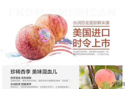 恐龍蛋水果孕婦可以吃嗎？恐龍蛋的禁忌