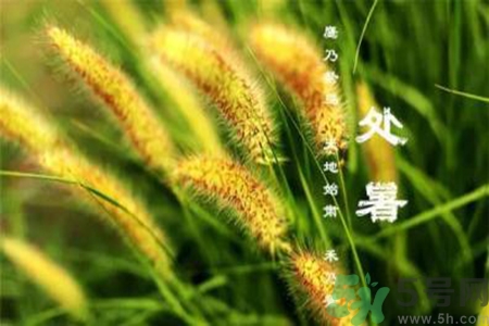 處暑出生的人怎么取名？處暑出生的人的命運(yùn)？