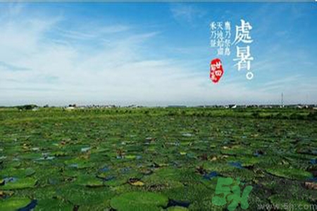 處暑出生的人怎么取名？處暑出生的人的命運(yùn)？