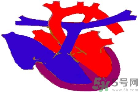 如何預(yù)防心臟病？心臟病的禁忌癥有哪些？
