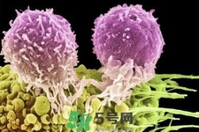 不宜過多食用辣椒的人群有哪些？夏天吃辣椒的好處有哪些？