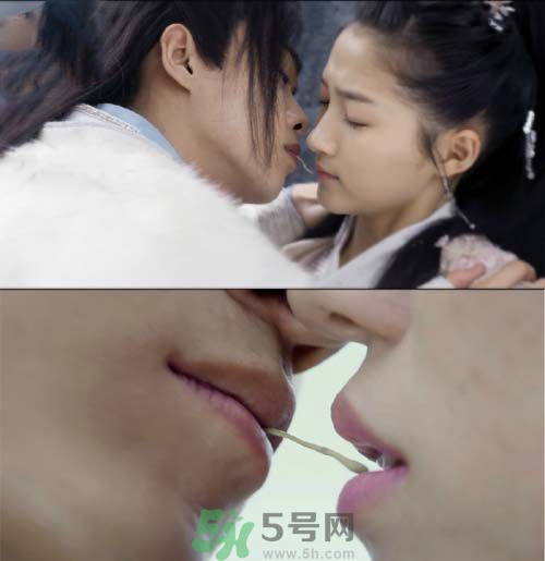 天空草是什么？天空草有什么用？